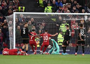 Liverpool - Bologna: Experiența aduce diferența » Victorie clară pentru „cormorani”