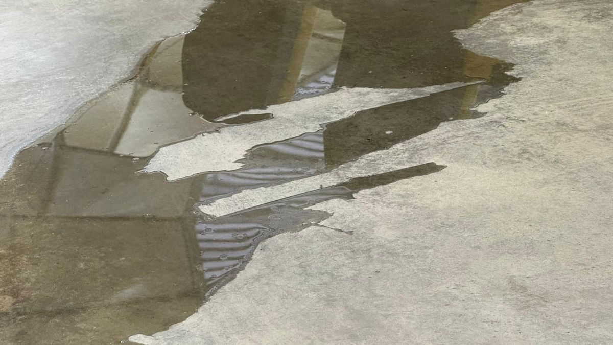 Peluza Nord și-a schimbat locul pe Arena Națională la FCSB - Young Boys, după sancțiunea aplicată de UEFA