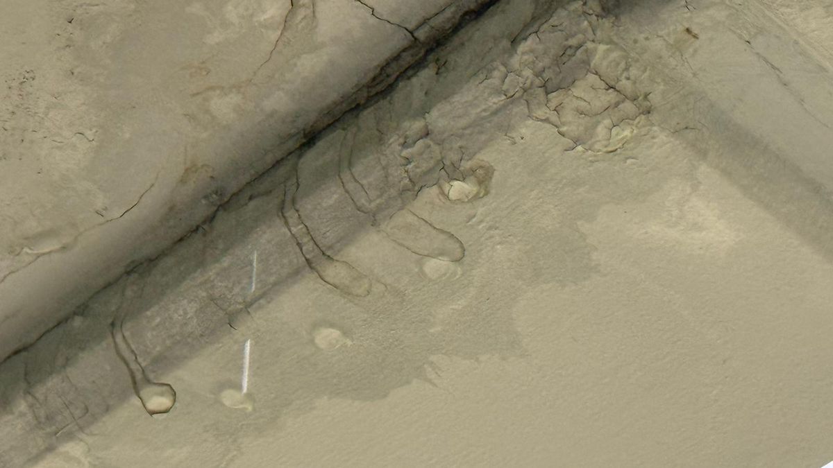 Imagini uluitoare de la Arena Națională înainte de FCSB - Young Boys » Ploaia s-a infiltrat prin tavanul lojilor