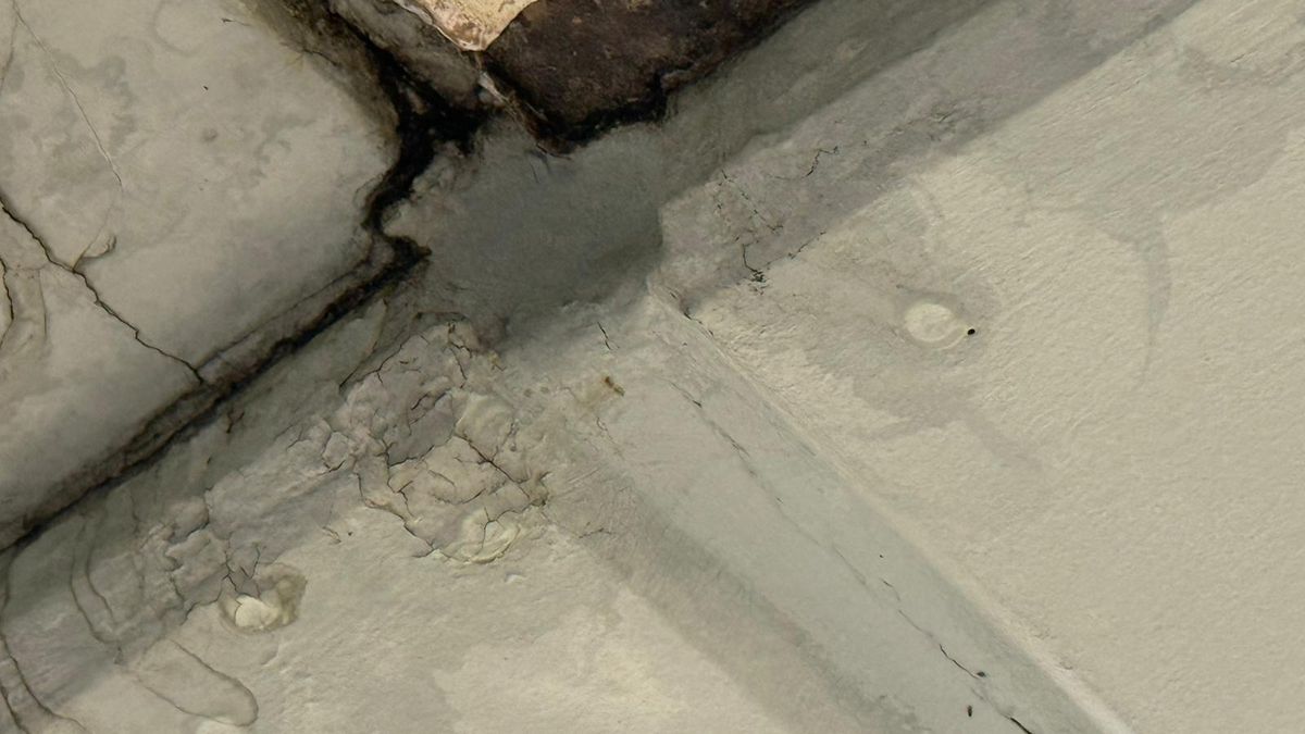 Plouă pe Arena Națională la FCSB - Young Boys