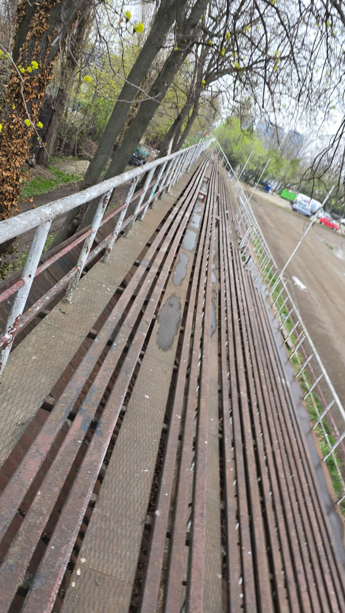 Scandal! Adrian Mutu și „Pescobar” sunt acuzați că administrează abuziv un teren din zona de lux a Capitalei: „S-au făcut stăpâni, nu cred că vom mai juca acolo”