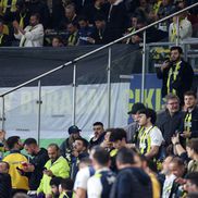 Steagurile Palestinei la Fenerbahce - Nice / Foto: Imago