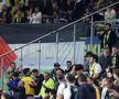 Steagurile Palestinei la Fenerbahce - Nice / Foto: Imago