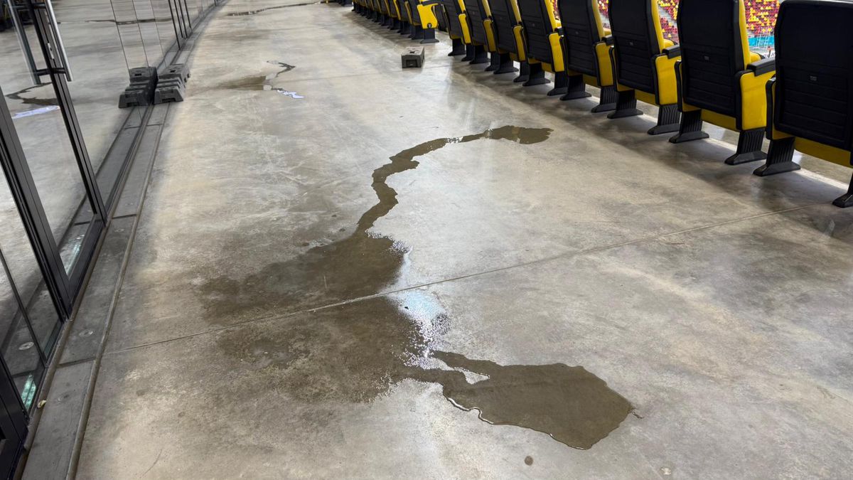 Peluza Nord și-a schimbat locul pe Arena Națională la FCSB - Young Boys, după sancțiunea aplicată de UEFA