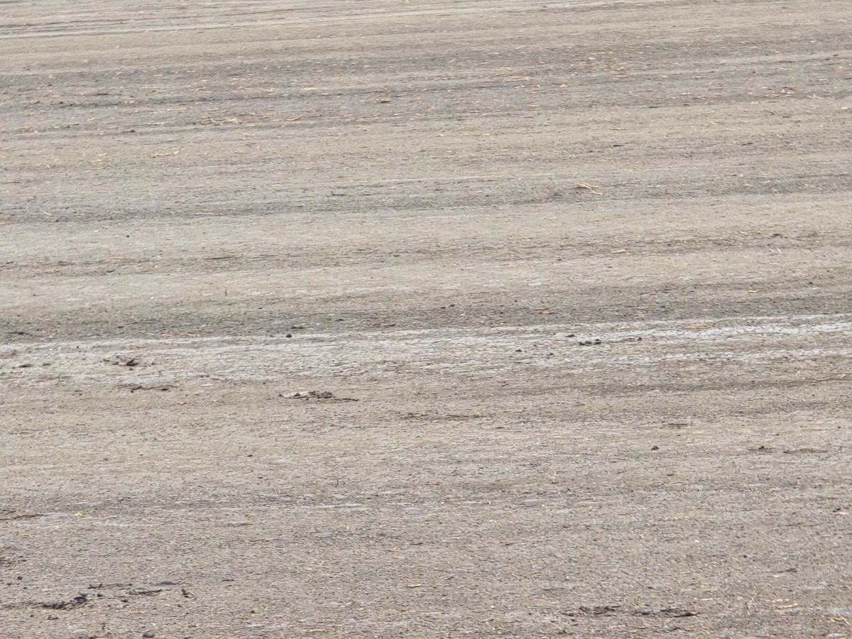 Cum arătau terenul și tribunele CCSS Tei, înainte de modernizare