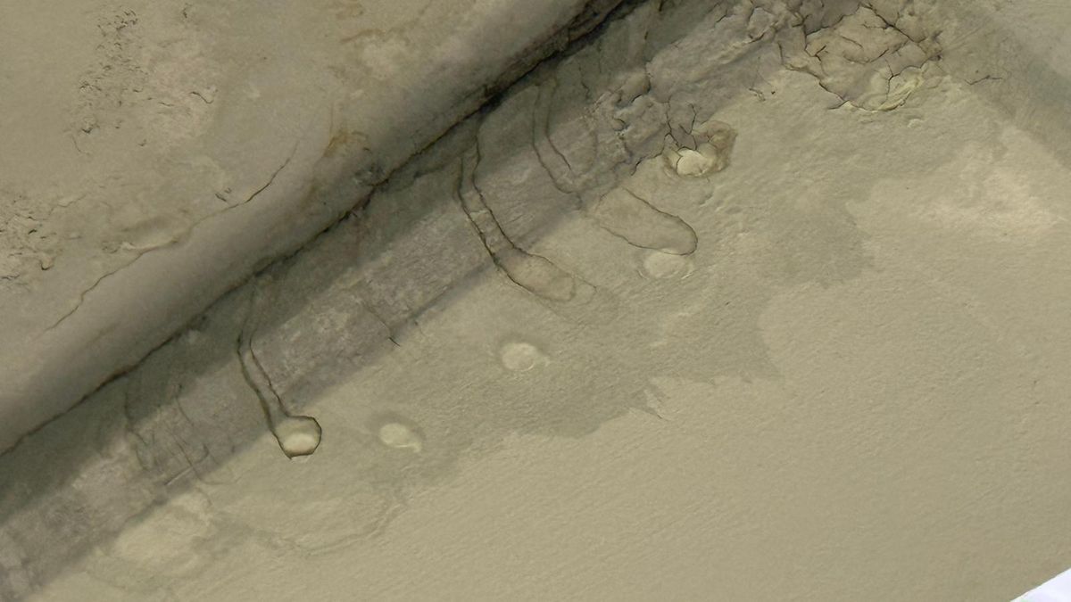 Imagini uluitoare de la Arena Națională înainte de FCSB - Young Boys » Ploaia s-a infiltrat prin tavanul lojilor