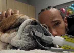 Lewis Hamilton, înapoi pe circuit după decesul câinelui său: „A fost o experiență foarte dificilă. Copleșitor”