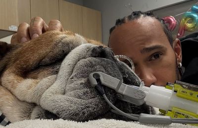 Lewis Hamilton, înapoi pe circuit după decesul câinelui său: „A fost o experiență foarte dificilă. Copleșitor”