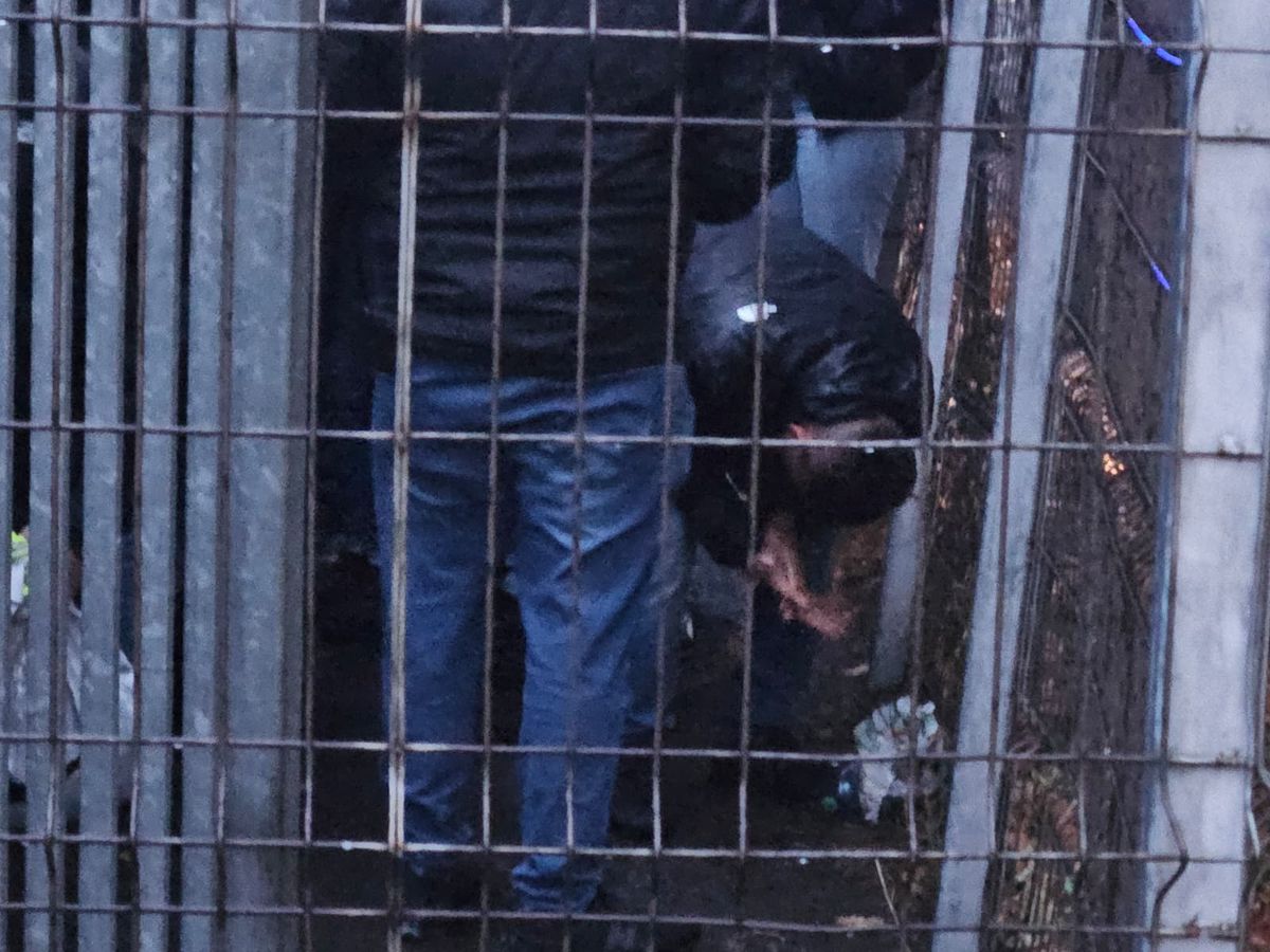 Bătaie între Jandarmerie și ultrașii radicali elvețieni înainte de FCSB - Young Boys » Forțele de ordine au folosit gaze lacrimogene