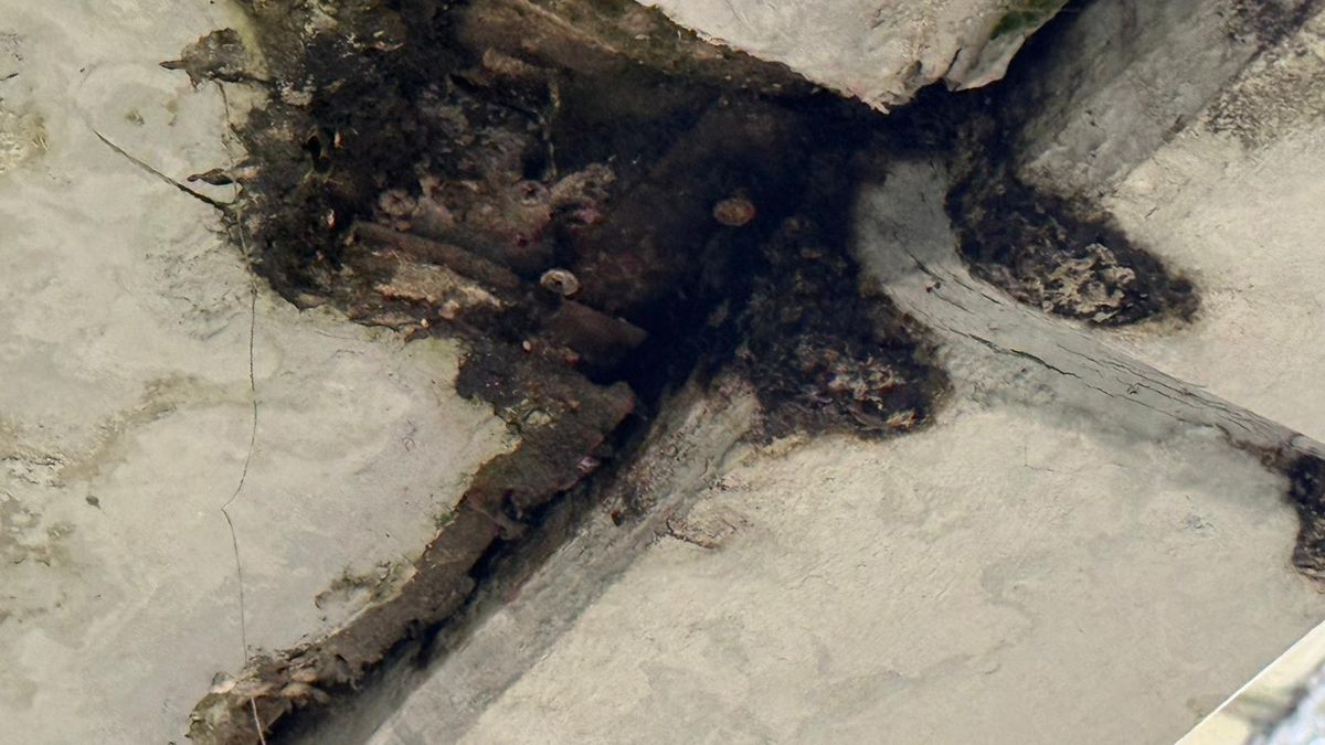 Plouă pe Arena Națională la FCSB - Young Boys