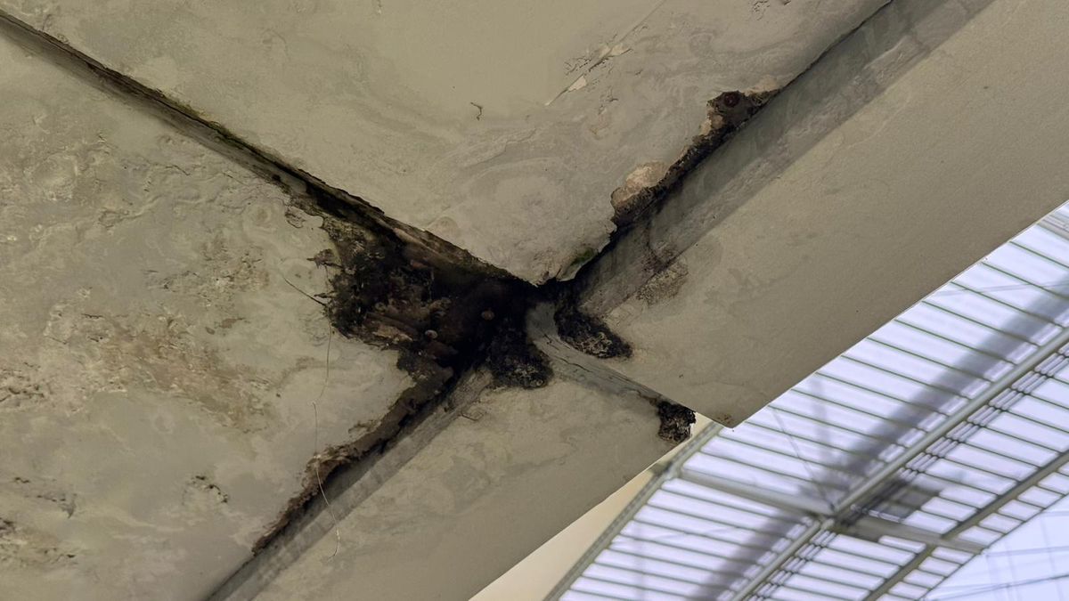 Plouă pe Arena Națională la FCSB - Young Boys