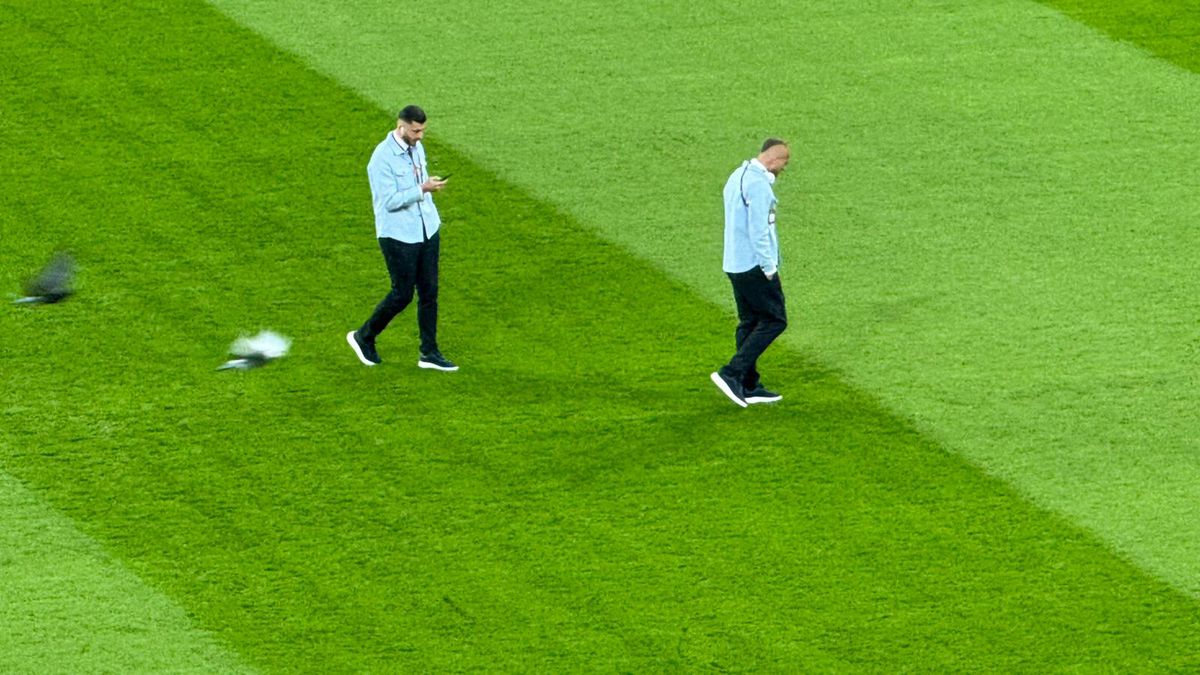 Peluza Nord și-a schimbat locul pe Arena Națională la FCSB - Young Boys, după sancțiunea aplicată de UEFA