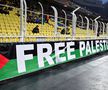 Steagurile Palestinei la Fenerbahce - Nice / Foto: Imago