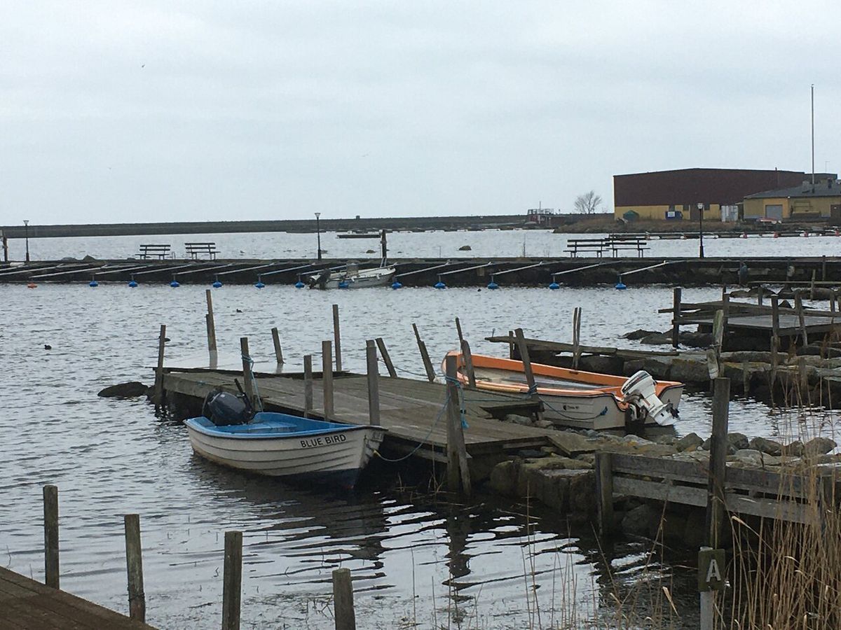 Surpriză fără precedent în Europa » Echipa dintr-un sat de 1.500 de locuitori a câștigat campionatul