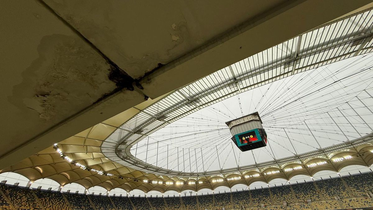 Imagini înainte de FCSB - Young Boys