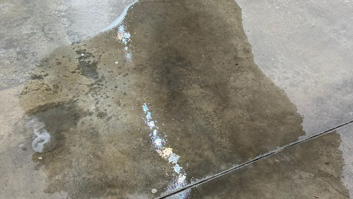 Plouă pe Arena Națională la FCSB - Young Boys