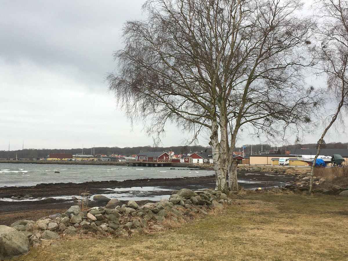 Surpriză fără precedent în Europa » Echipa dintr-un sat de 1.500 de locuitori a câștigat campionatul