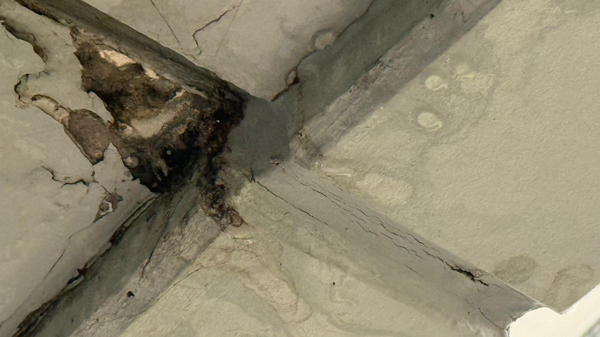 Plouă pe Arena Națională la FCSB - Young Boys