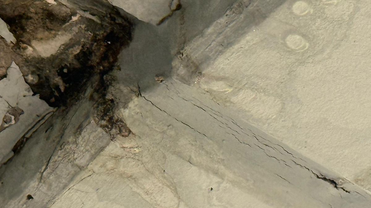 Imagini uluitoare de la Arena Națională înainte de FCSB - Young Boys » Ploaia s-a infiltrat prin tavanul lojilor