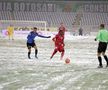Botoșani - Viitorul 1-0