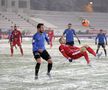 Botoșani - Viitorul 1-0