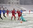 Botoșani - Viitorul 1-0