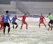 Botoșani - Viitorul 1-0