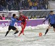 Botoșani - Viitorul 1-0