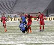 Botoșani - Viitorul 1-0