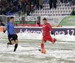 Botoșani - Viitorul 1-0