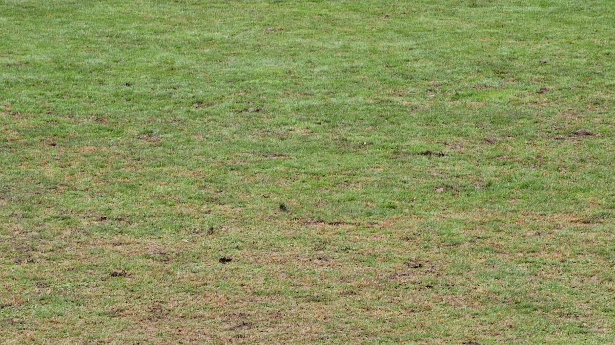 Stupoare la Unirea Dej - CS Mioveni, în Liga 2 » Meci oprit, nu s-a putut juca timp de 20 de minute!