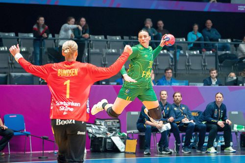 Suedia a fost învinsă de Brazilia // foto: Imago Images