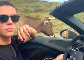 David Popovici, drumul de la copilul agresat de antrenoare la campionul olimpic al României » Ce planuri are după ce încheie cariera de înotător
