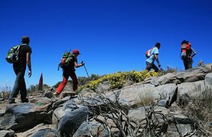 Iată ce opțiuni ai pentru o vacanță în Tenerife cu tentă sportivă!