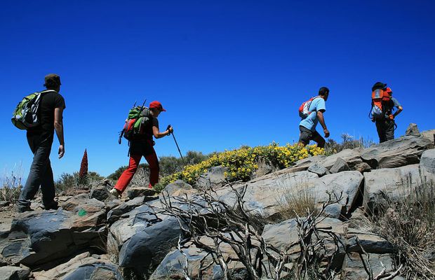 Iată ce opțiuni ai pentru o vacanță în Tenerife cu tentă sportivă!