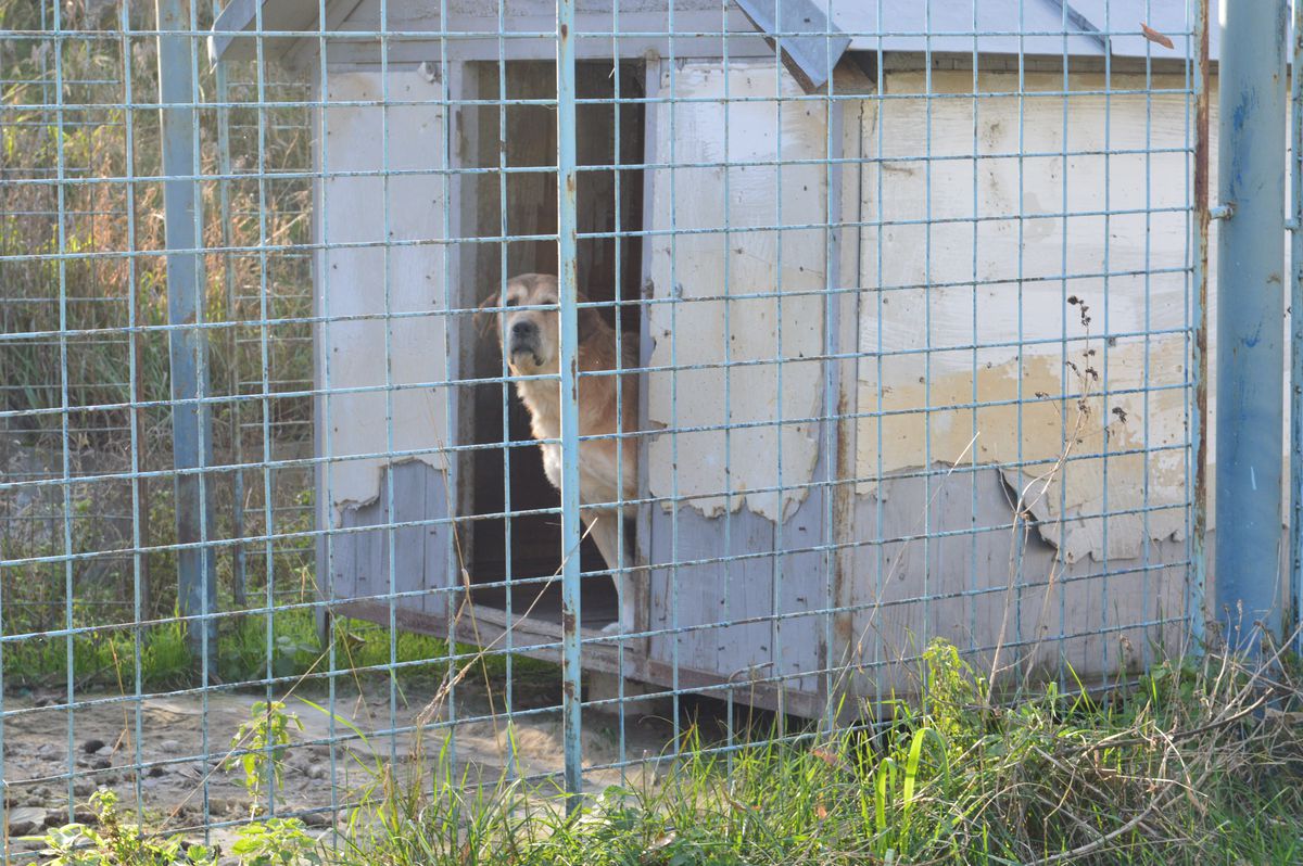 VIDEO + FOTO Cum arată acum locul în care s-au născut povești savuroase în anii ’90: bani pentru echipă câștigați la ruletă și oferta lui Gigi Becali înainte de a cumpăra Steaua