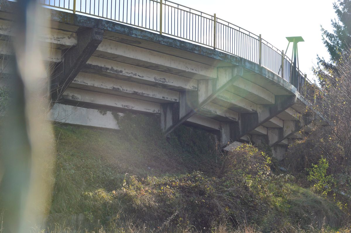 VIDEO + FOTO Cum arată acum locul în care s-au născut povești savuroase în anii ’90: bani pentru echipă câștigați la ruletă și oferta lui Gigi Becali înainte de a cumpăra Steaua