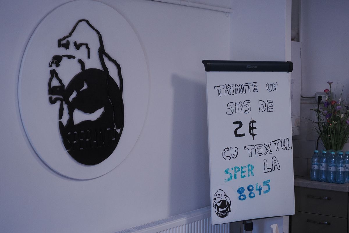 Mihai Stoica și fiica sa, Teodora, au gătit pentru câinii fără stăpân de la Adăpostul Speranța » Replica lui MM pentru „câinii” din Liga 1, după ce Dinamo a ajuns ultima în clasament