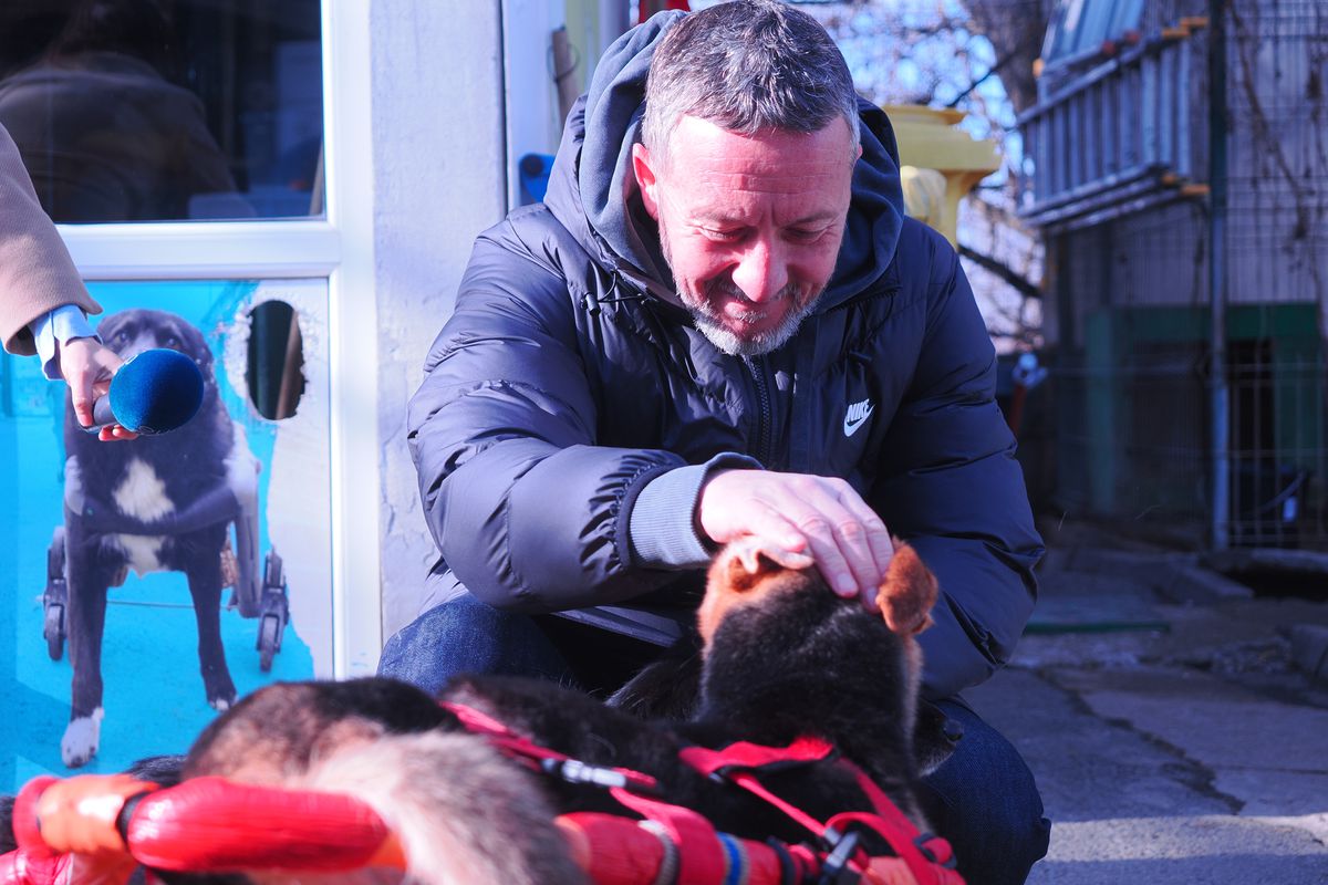 Mihai Stoica și fiica sa, Teodora, au gătit pentru câinii fără stăpân de la Adăpostul Speranța » Replica lui MM pentru „câinii” din Liga 1, după ce Dinamo a ajuns ultima în clasament