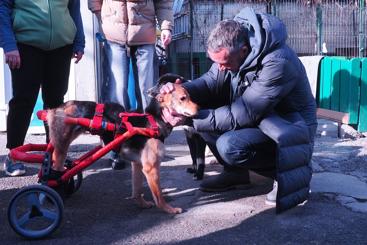 Mihai si Teodora Stoica la adapostul de caini