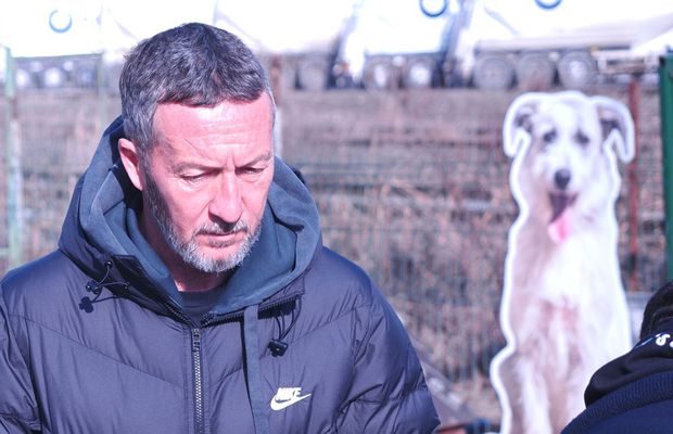 MM Stoica i-a răspuns lui Săpunaru, după răbufnirea căpitanului rapidist: „Pe mine nu mă veți auzi că voi spune asta”