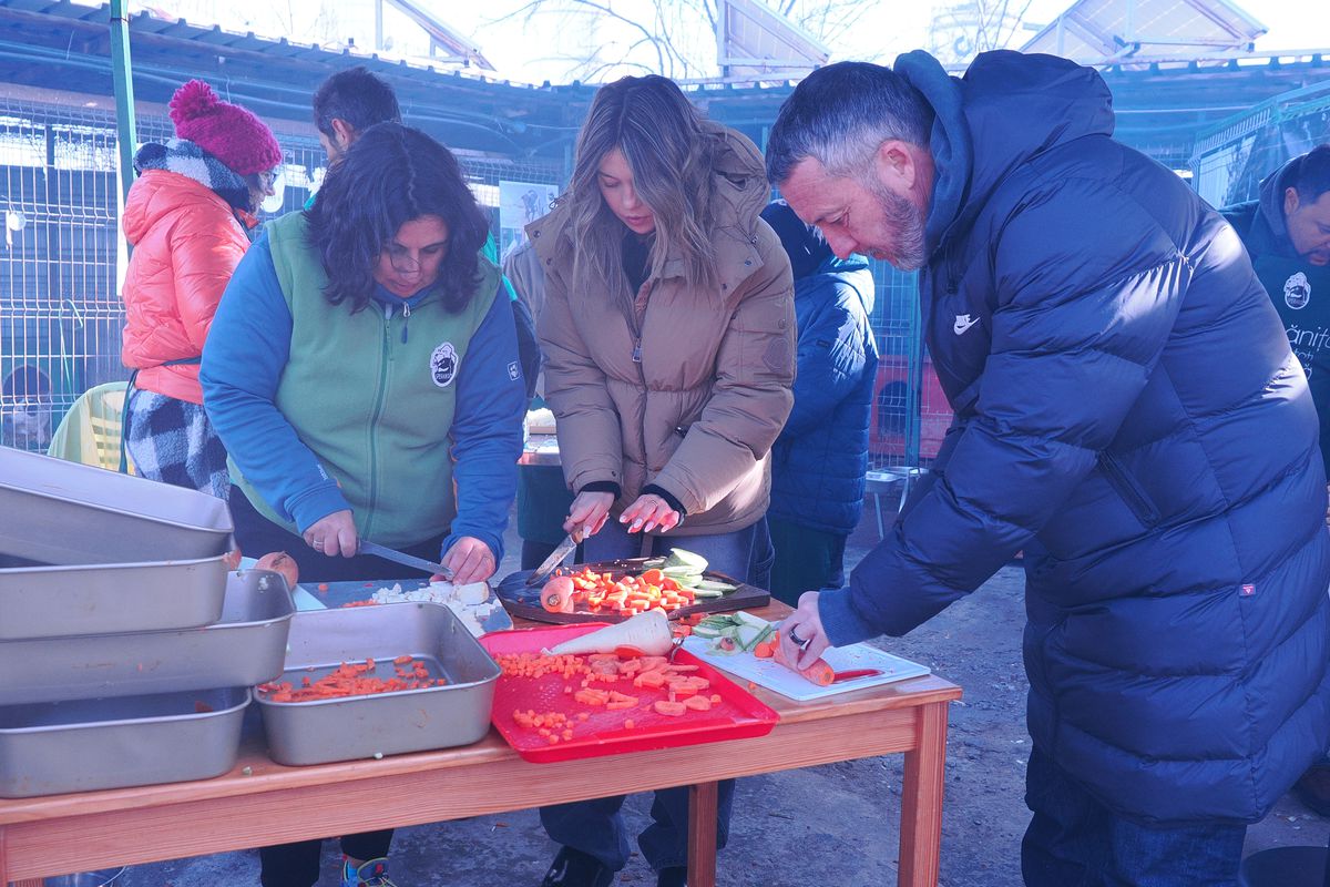 Mihai Stoica și fiica sa, Teodora, au gătit pentru câinii fără stăpân de la Adăpostul Speranța » Replica lui MM pentru „câinii” din Liga 1, după ce Dinamo a ajuns ultima în clasament