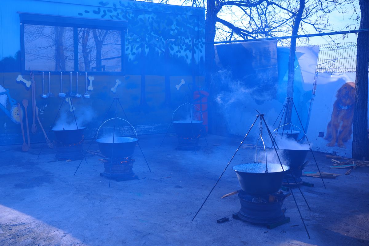 Mihai si Teodora Stoica la adapostul de caini