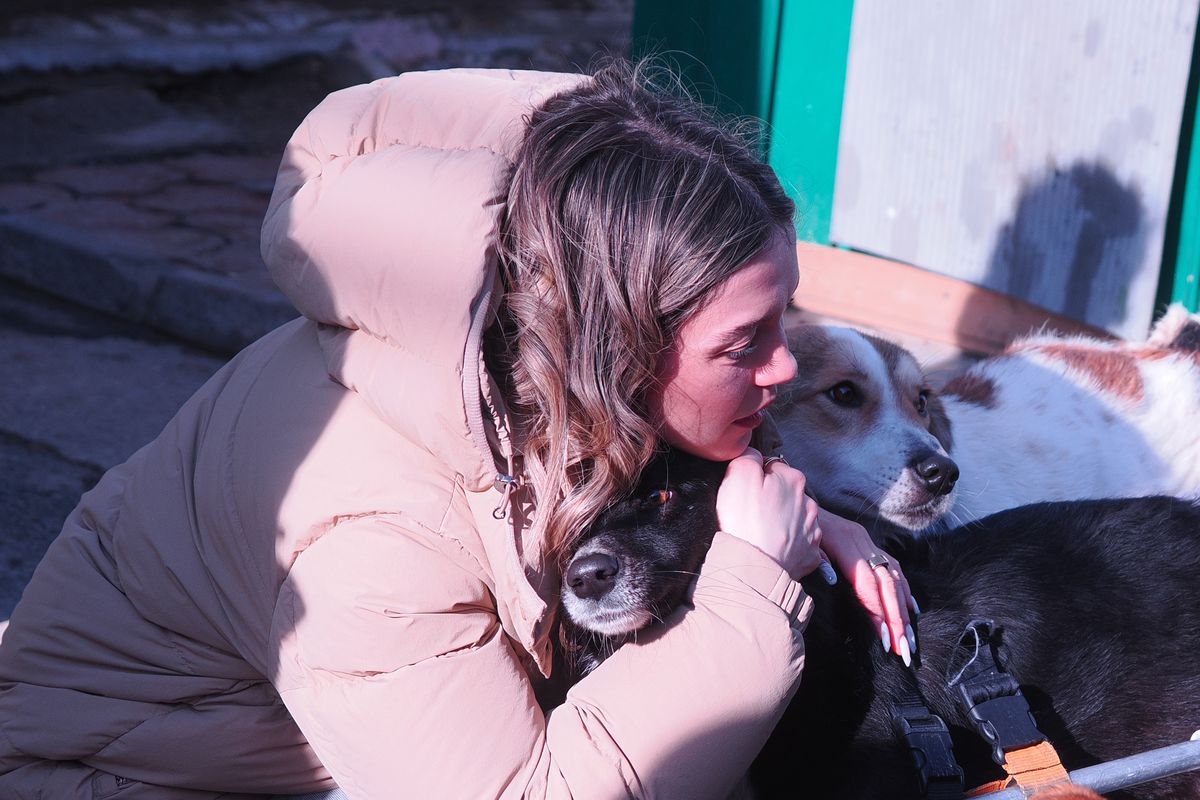 Mihai Stoica și fiica sa, Teodora, au gătit pentru câinii fără stăpân de la Adăpostul Speranța » Replica lui MM pentru „câinii” din Liga 1, după ce Dinamo a ajuns ultima în clasament