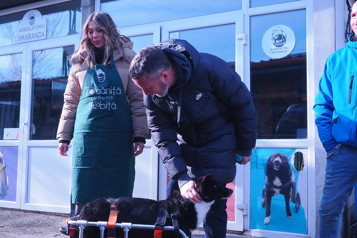 Mihai Stoica și fiica sa, Teodora, au gătit pentru câinii fără stăpân de la Adăpostul Speranța » Replica lui MM pentru „câinii” din Liga 1, după ce Dinamo a ajuns ultima în clasament