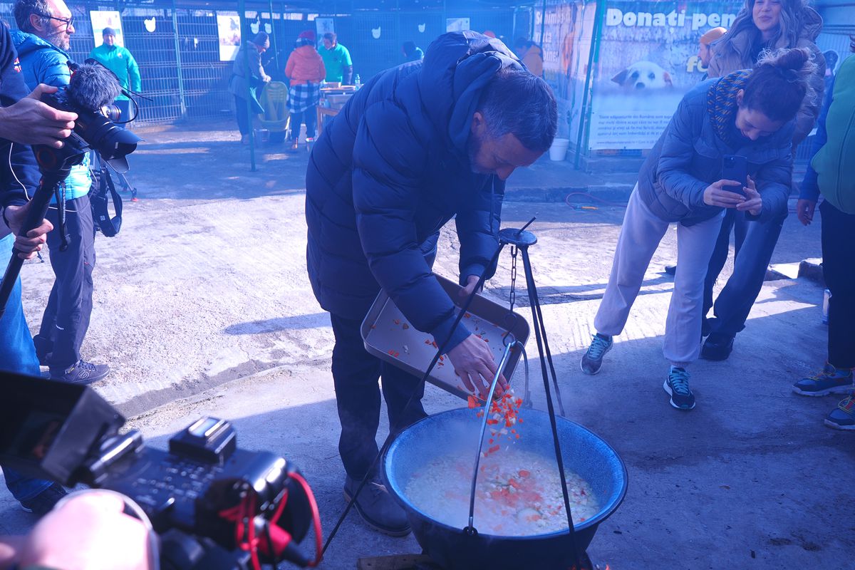 Mihai Stoica și fiica sa, Teodora, au gătit pentru câinii fără stăpân de la Adăpostul Speranța » Replica lui MM pentru „câinii” din Liga 1, după ce Dinamo a ajuns ultima în clasament