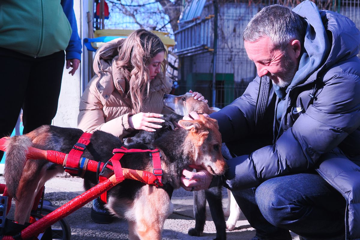 Mihai si Teodora Stoica la adapostul de caini