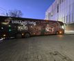 Dinamo - Hermannstadt, imagini înaintea meciului