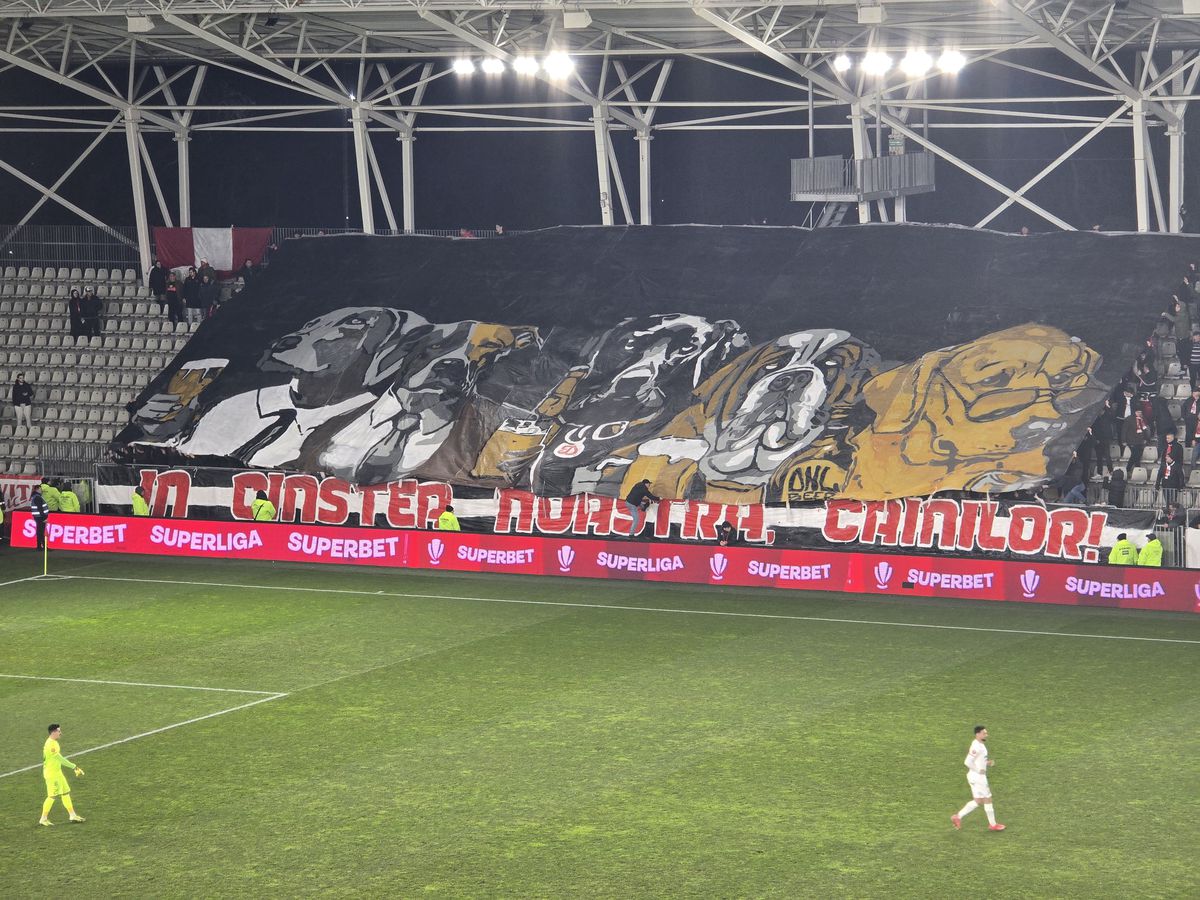 Spectacol în Dinamo - Hermannstadt! » Trei scenografii BLITZ afișate de ultrași în 5 minute: „În cinstea noastră, câinilor”