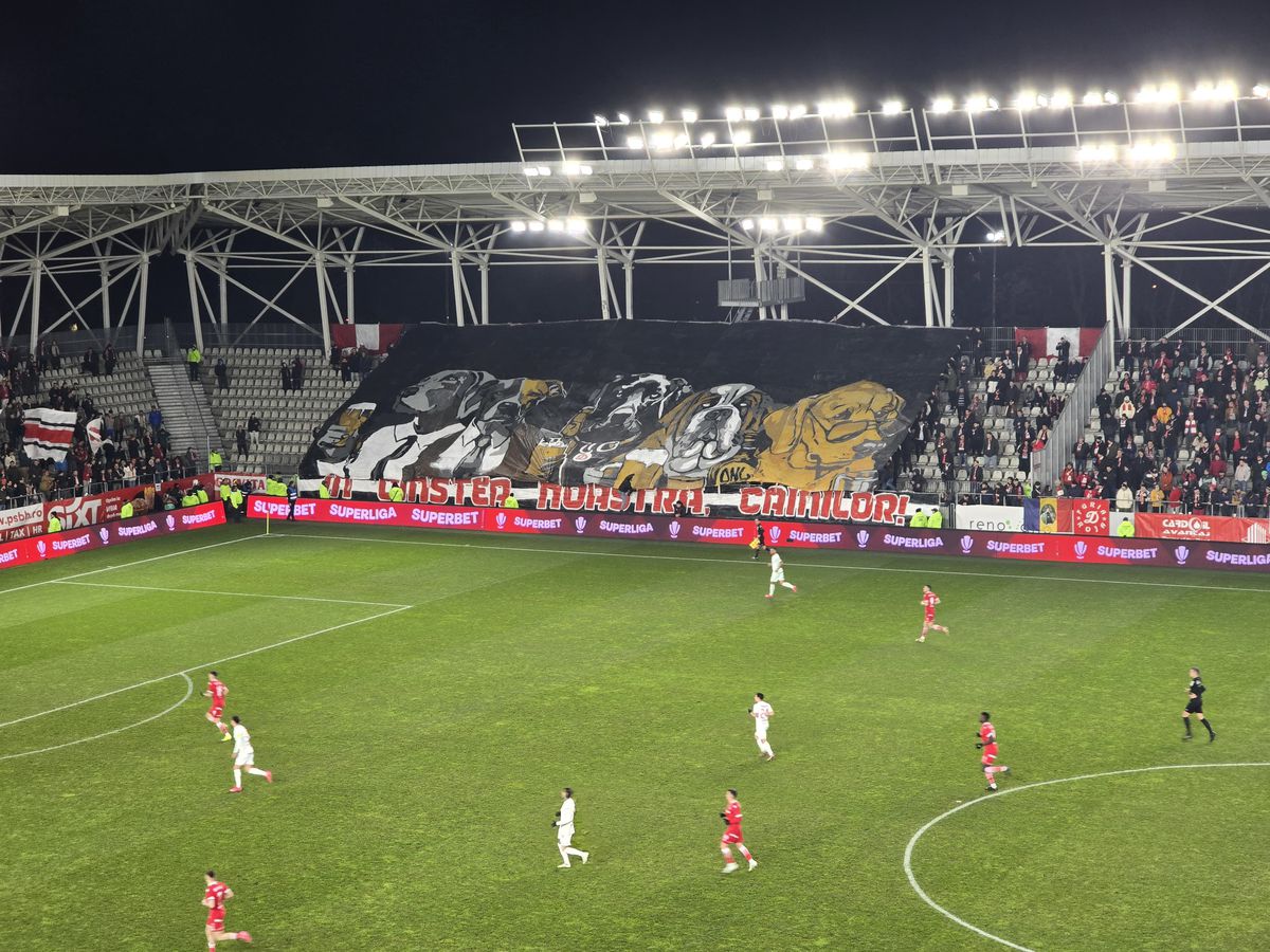 Dinamo - Hermannstadt, imagini din timpul partidei